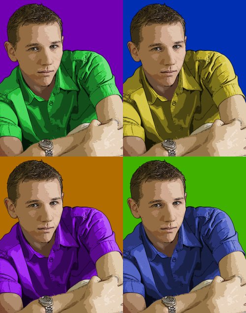 Josh, warhol styled art